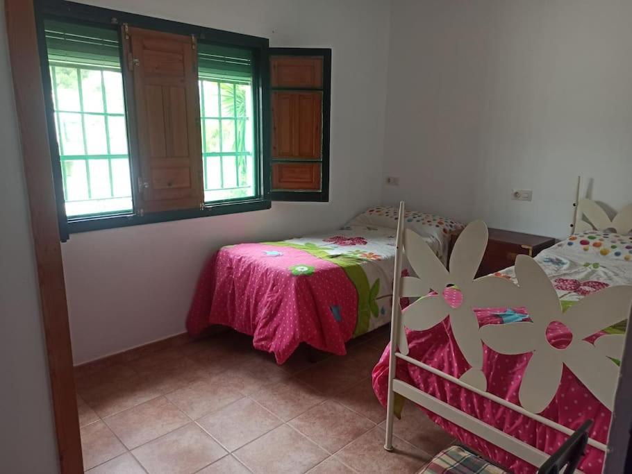 Rustica La Palmera *